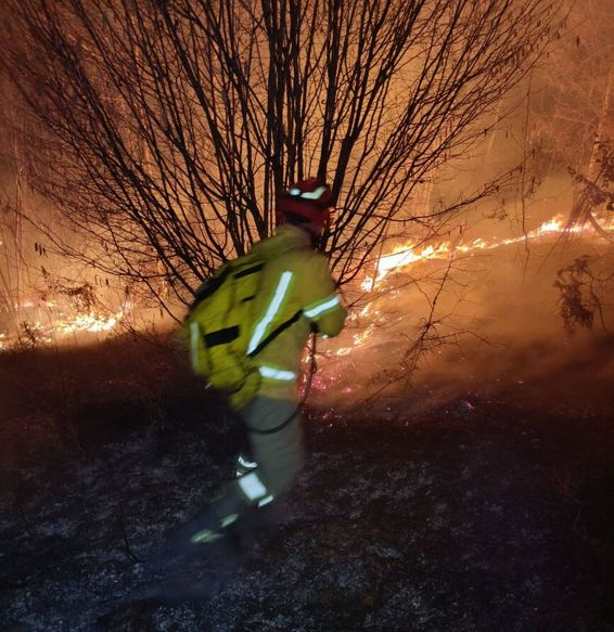 Pompierii bihoreni au salvat casele din calea focului | imaginea 1