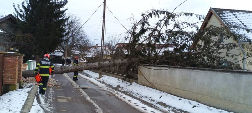 Weekend de foc  Zeci de interventii si misiuni salvatoare | imaginea 1
