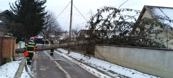 Weekend de foc  Zeci de interventii si misiuni salvatoare | imaginea 1