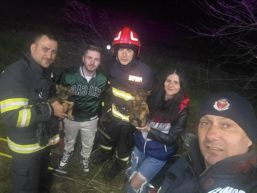 Final fericit  Catelus salvat de la 20 m adancime si adoptat pe loc | imaginea 1