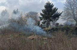 Incendiu in cimitir  Totul a pornit de la o lumanare | imaginea 1