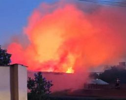 Locuinta  depozit  solarii si animale salvate de pompieri | imaginea 1