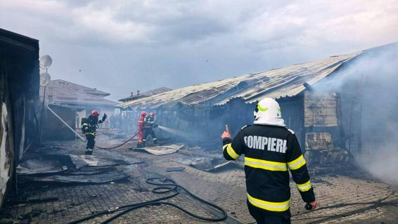 Lupta pentru viata  Patru catelusi salvati din ghearele focului | imaginea 1