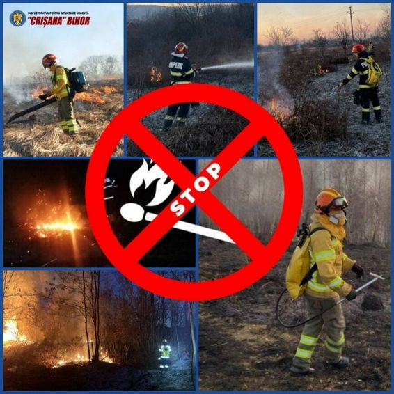 Masina in flacari si arderi ilegale de vegetatie | imaginea 1