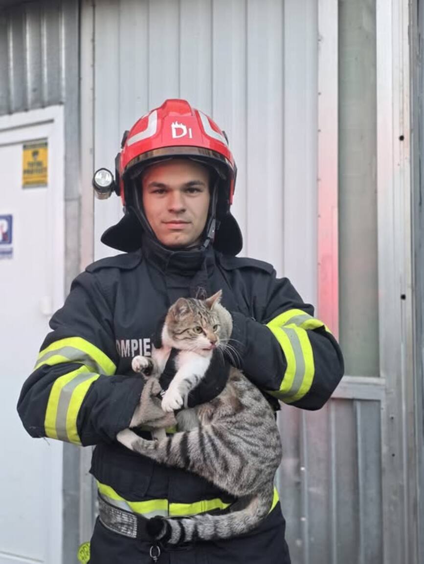 Misiune cu final fericit si inca o viata salvata | imaginea 1