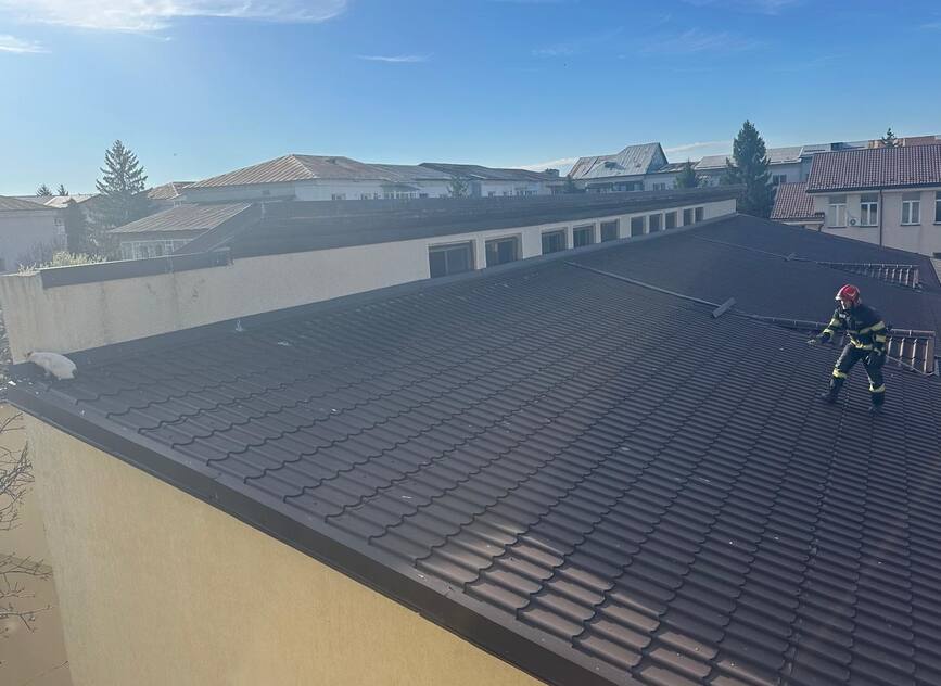 Misiune cu final reusit  Pisica salvata de la 10 metri inaltime | imaginea 1