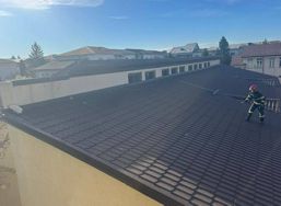 Misiune cu final reusit  Pisica salvata de la 10 metri inaltime | imaginea 1