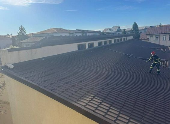 Misiune cu final reusit  Pisica salvata de la 10 metri inaltime | imaginea 1