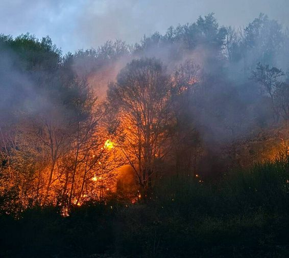 Misiune incheiata cu succes | imaginea 1