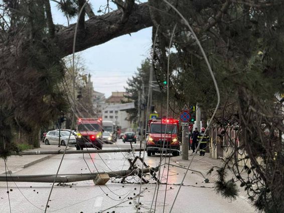 Prapad in Botosani  Copac si stalpi doborati de vant | imaginea 1