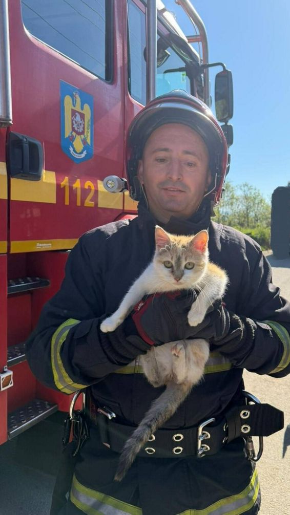 Salvata de la inaltime | imaginea 1