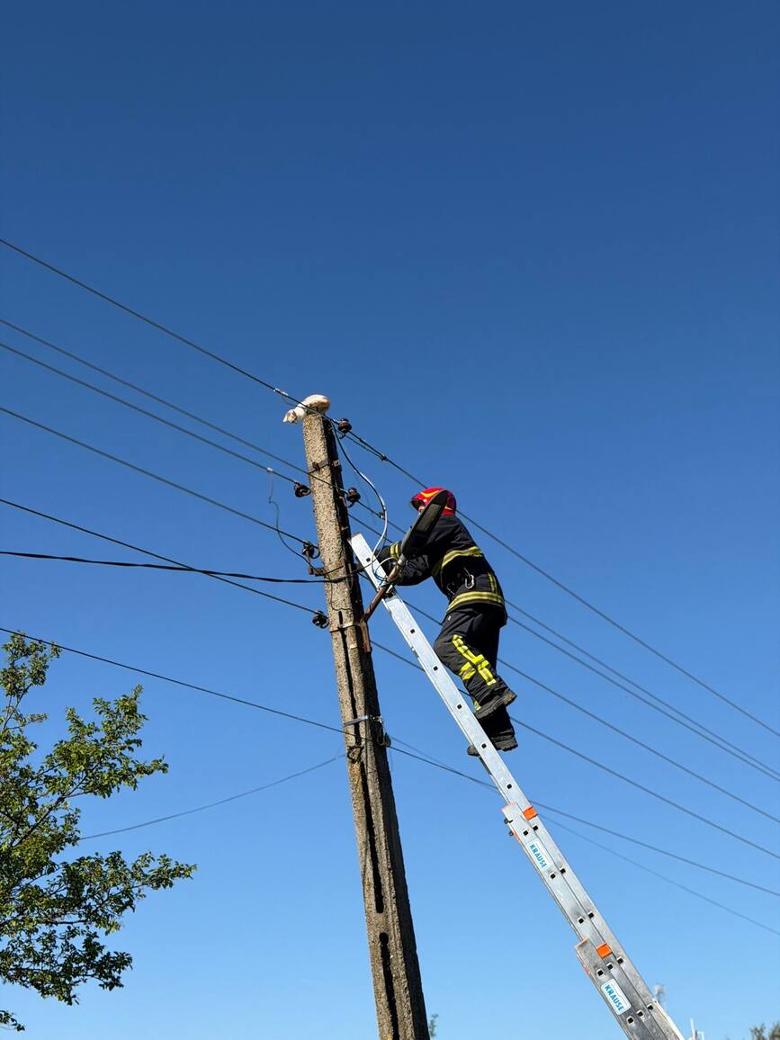 Salvata de la inaltime | imaginea 2