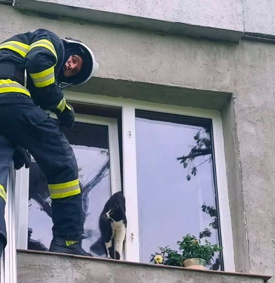 Atentie la ferestrele rabatate  Salvata in ultima clipa de pompieri | imaginea 1