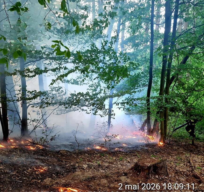 De la incendii violente  la salvarea unei pisici | imaginea 1