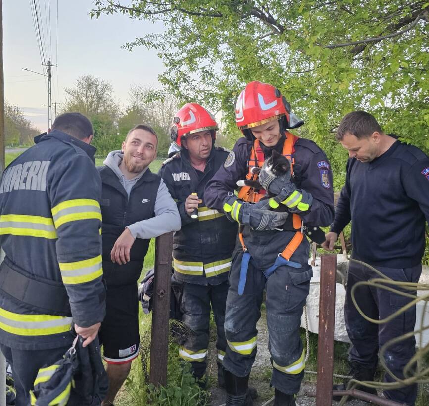 Misiune cu final fericit  Pisica salvata din fantana | imaginea 1