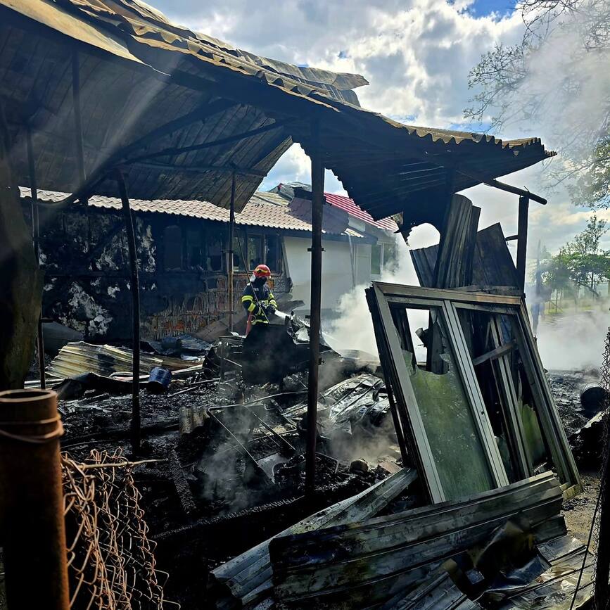 Pasari de curte si bunuri materiale salvate din incendiu | imaginea 1