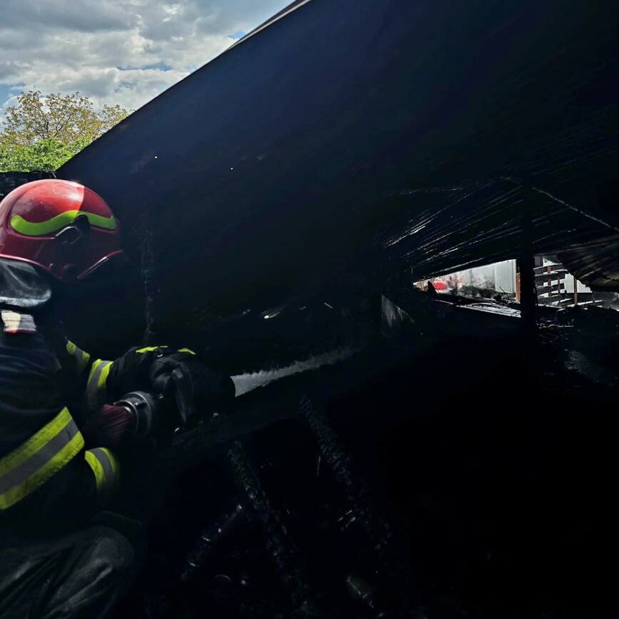 Pasari de curte si bunuri materiale salvate din incendiu | imaginea 2