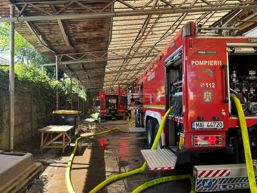 Incendiu la o hala din Oradea | imaginea 1