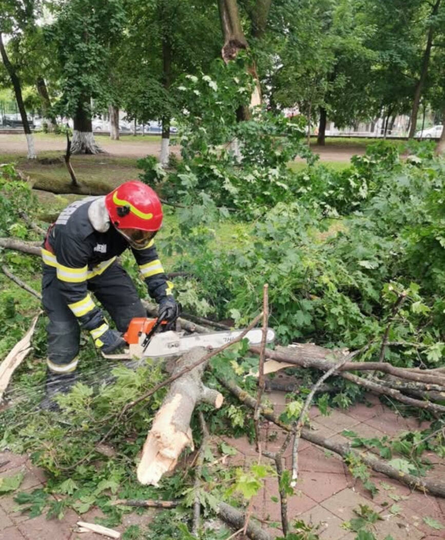 Interventie de urgenta  O creanga uriasa s a rupt intr un parc | imaginea 1