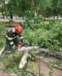 Interventie de urgenta  O creanga uriasa s a rupt intr un parc | imaginea 1