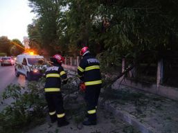 Misiuni salvatoare  accidente rutiere si incendii | imaginea 1