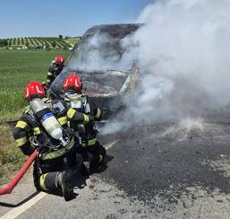 O duba a luat foc in mers si a ars ca o torta | imaginea 1
