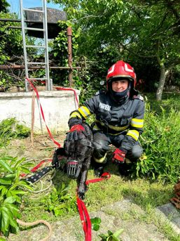 Peste 100 de animale si pasari  salvate de pompierii timiseni | imaginea 1