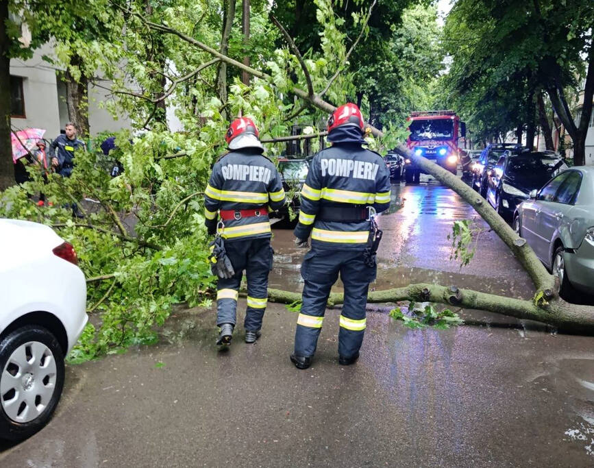 Prapad in Braila  Copaci smulsi  strazi inundate si un barbat gasit mort | imaginea 1