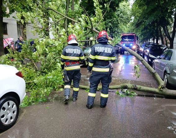 Prapad in Braila  Copaci smulsi  strazi inundate si un barbat gasit mort | imaginea 1