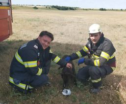 Salvat dupa cateva zile petrecute intr o fantana dezafectata | imaginea 1