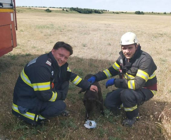 Salvat dupa cateva zile petrecute intr o fantana dezafectata | imaginea 1