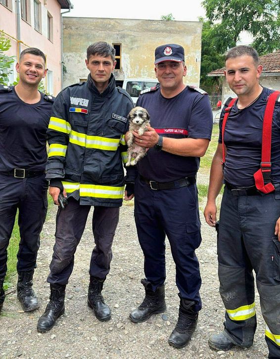 Sapaturi cu buldoexcavatorul pentru salvarea unui catel | imaginea 1