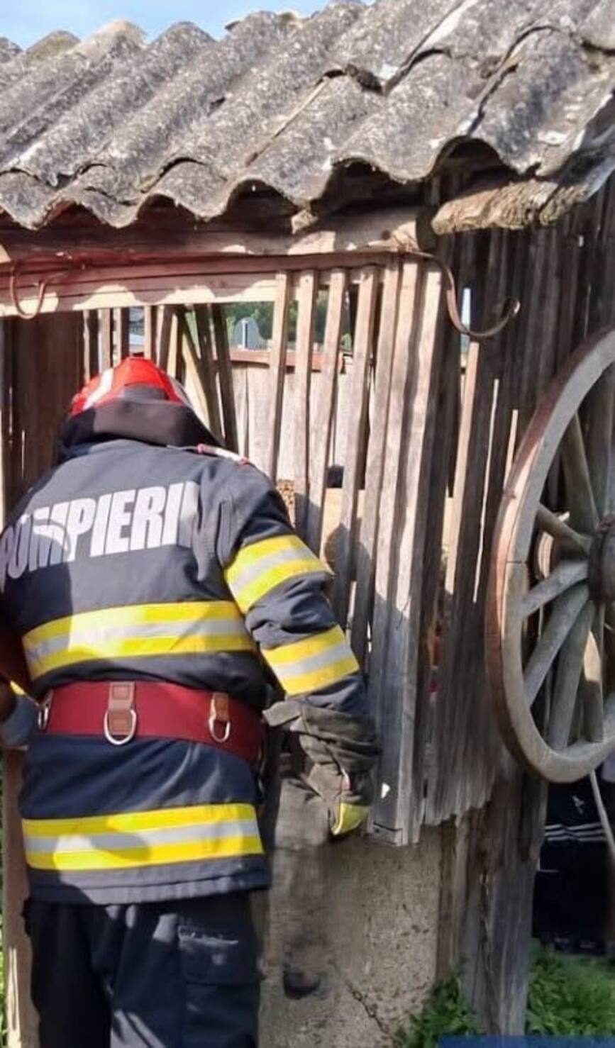 Barbat scos dintr o fantana si 3 pui de pisica salvati din canal | imaginea 2