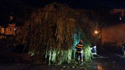 Copaci prabusiti acoperisuri smulse si zeci de curti inundate | imaginea 1