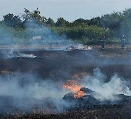 Incendiu produs in timpul recoltarii | imaginea 1