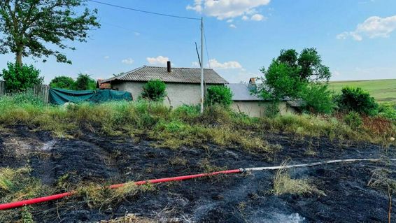 Incendiu violent pe un teren viran | imaginea 1