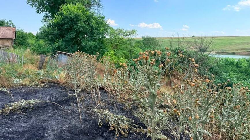 Incendiu violent pe un teren viran | imaginea 2