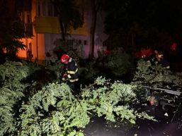 Interventie continua toata noaptea | imaginea 1