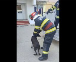 Misiune cu final fericit  Salvare la inaltime | imaginea 1