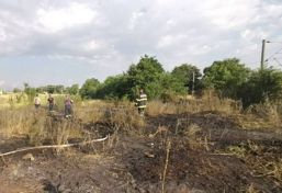 Peste 3 hectare de vegetatie  facute scrum de canicula | imaginea 1