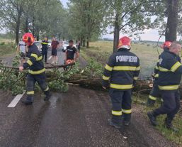 Prapad in Bihor dupa furtuni  Copaci prabusiti si strazi inundate | imaginea 1