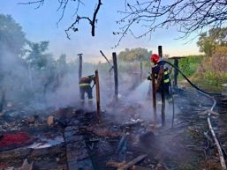 Tragedie in gospodarie Peste 100 de animale au pierit in flacari | imaginea 1