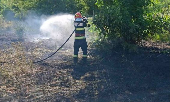 Un hectar de parjol provocat de un gest iresponsabil | imaginea 1
