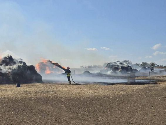 Bihorul sub asediul flacarilor  12 incendii stinse in doar zece ore | imaginea 1