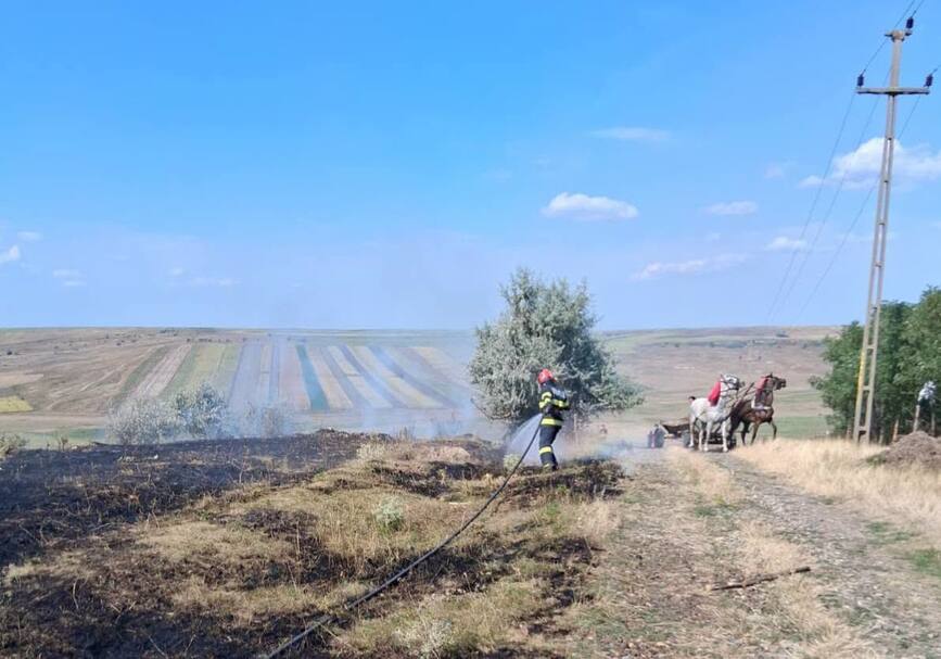 Bilantul a doua incendii violente  Vegetatie uscata facuta scrum | imaginea 1