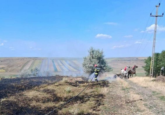 Bilantul a doua incendii violente  Vegetatie uscata facuta scrum | imaginea 1