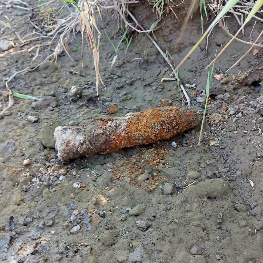 Captura periculoasa  Pescarii au dat peste un proiectil exploziv | imaginea 1