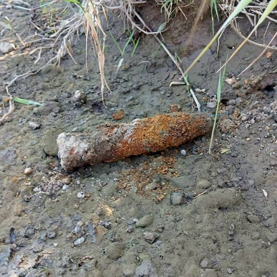 Captura periculoasa  Pescarii au dat peste un proiectil exploziv | imaginea 1