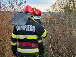 Incendiile de vegetatie se extind rapid in localitati | imaginea 1