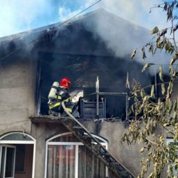 Incendiu de proportii  Pompierii au salvat opt animale din calea flacarilor | imaginea 1